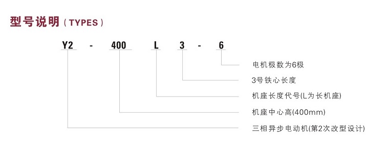 Y2VF400低壓變頻調(diào)速電機(jī)型號(hào)說明